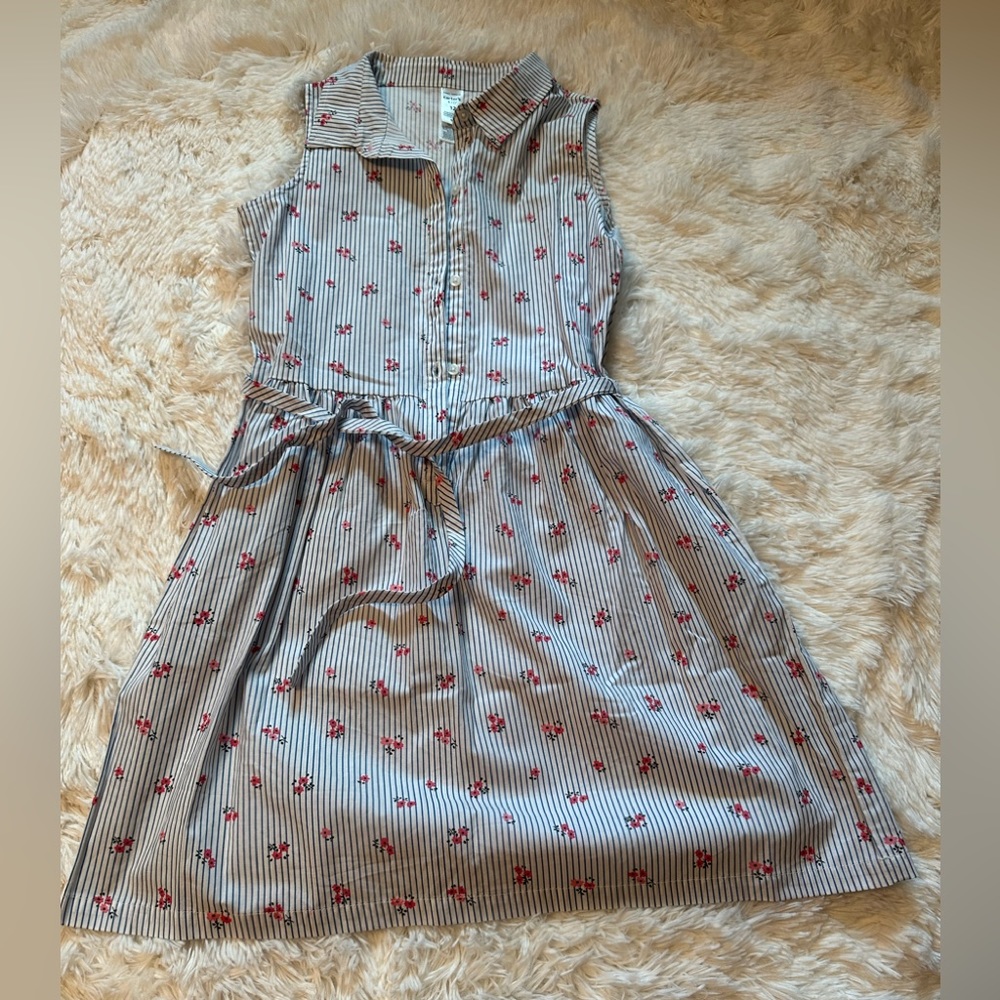 Girls Carter’s Button down dress